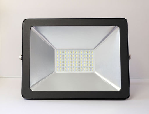 100w led floodlight from Batteryworld.ie